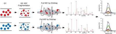 Application of Parallel Reaction Monitoring in 15N Labeled Samples for Quantification